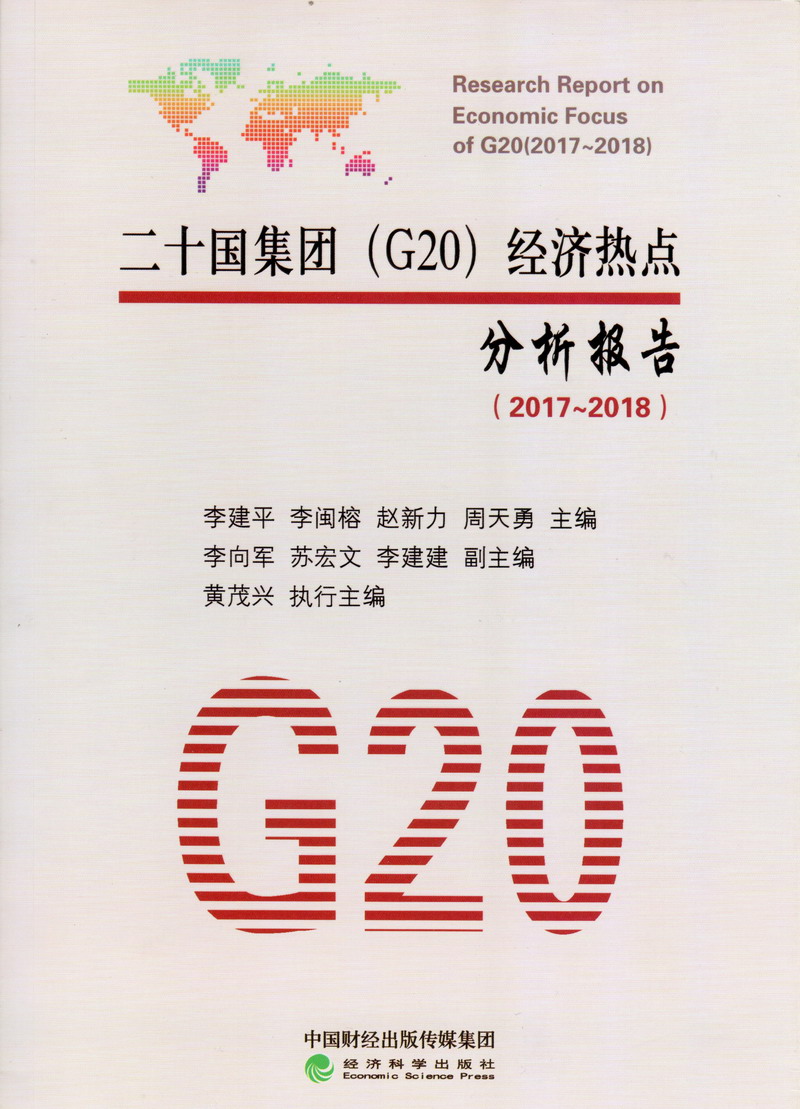 啊…嗯不要高潮了网站二十国集团（G20）经济热点分析报告（2017-2018）